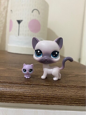 miniş