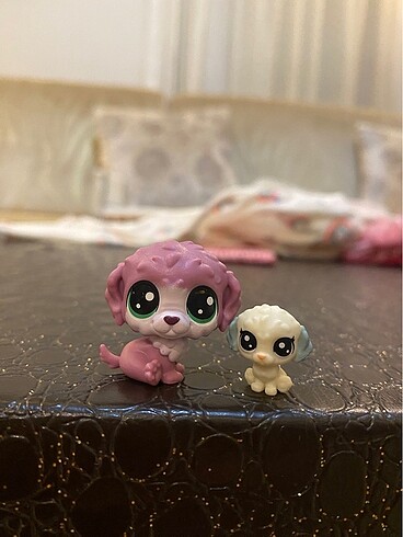 miniş