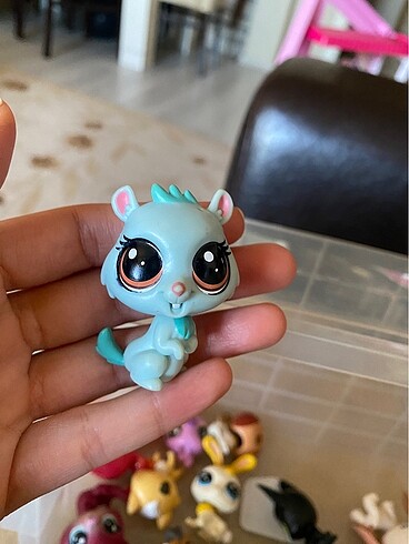 miniş
