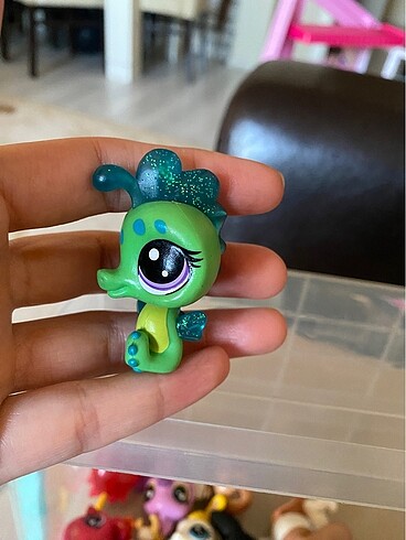 miniş