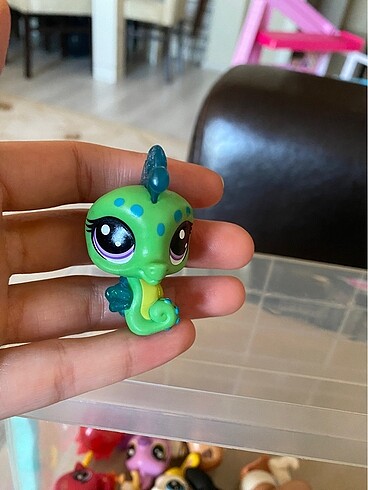 LPS Minişler miniş