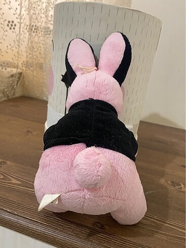 Diğer playboy