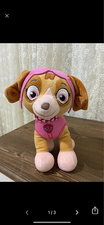 paw patrol