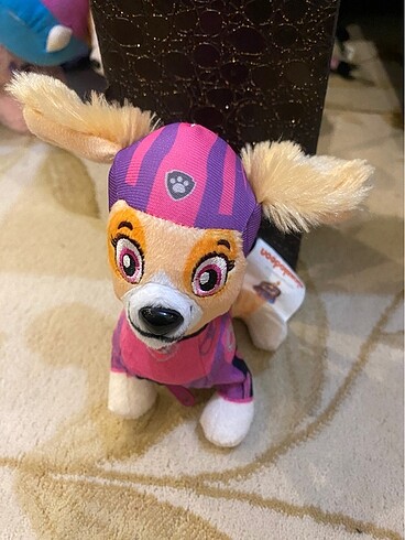 Paw Patrol paw patrol