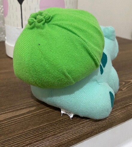 Diğer pokemon