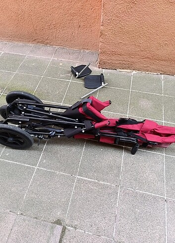 Yetişkin puseti - Görsel 6