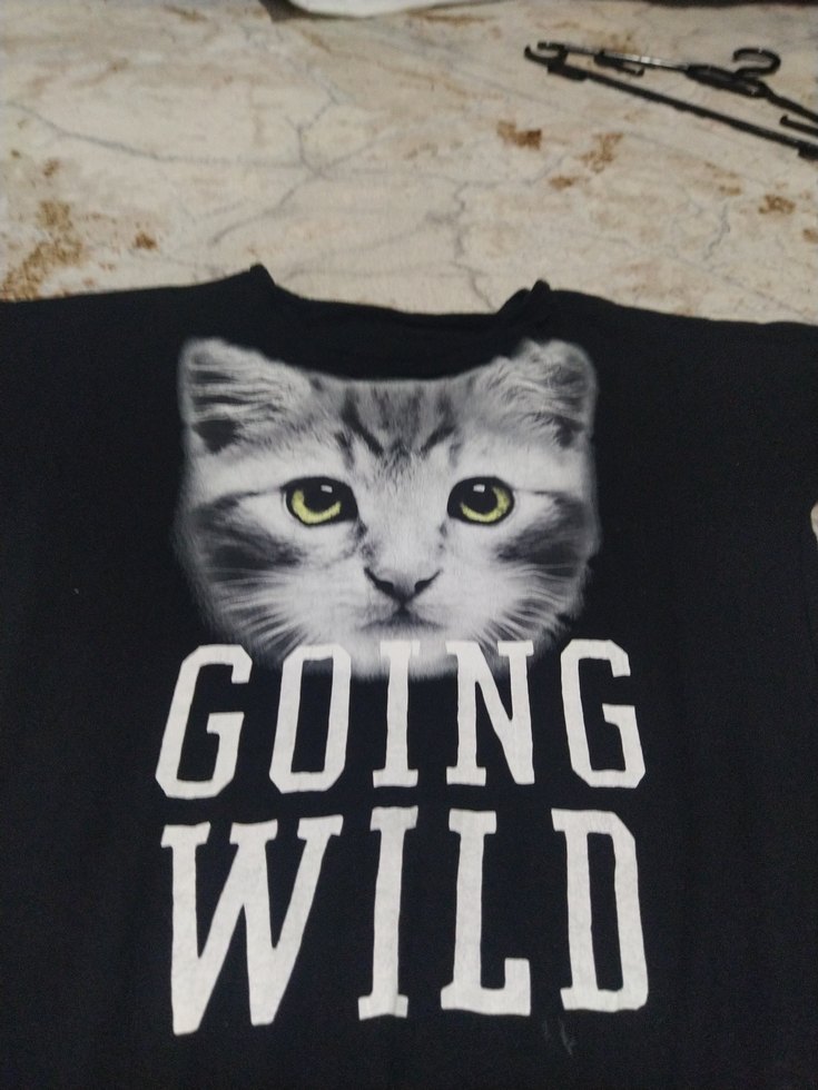 Siyah Baskılı Kedi tişört - Görsel 2
