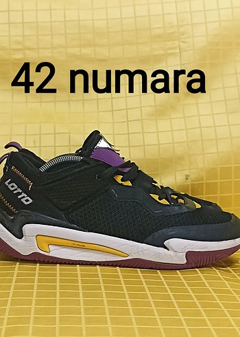Lotto 42