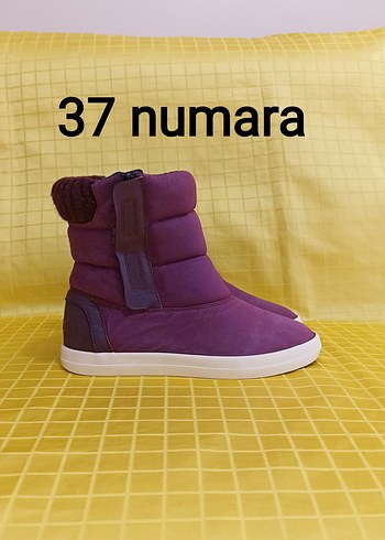 37 numara orjinal LACOSTE marka ayakkabı.