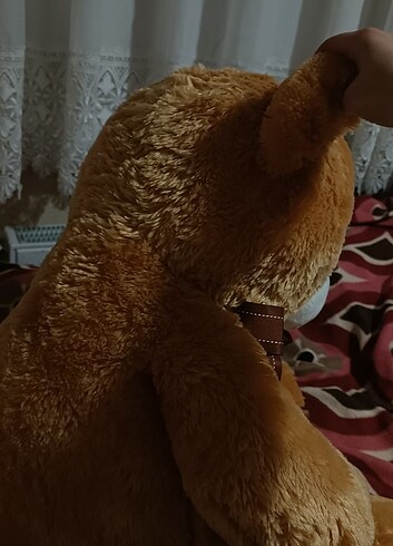 Kurdeleli peluş ayı ????