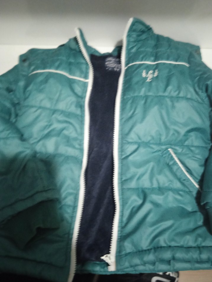 Parlak Mavi Erkek Çocuk Fermuarlı Mont - Görsel 3