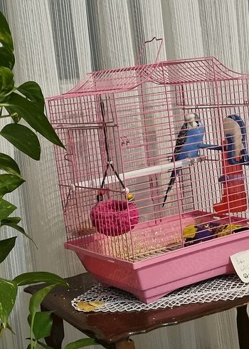 Renkli Pembe Kuş Kafesi....büyük boy. yeni..