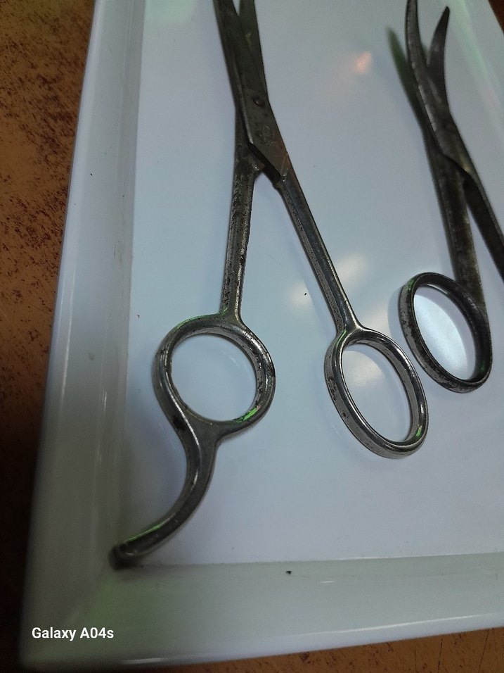 wintage makas lar..görselleri güzel tane fiyatı seçebilirsiniz - Görsel 3