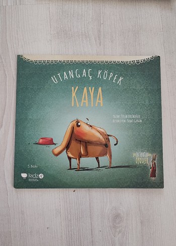 Utangaç köpek kaya