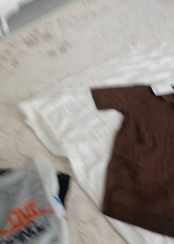 Zara Kahverengi Pilili V Yaka Erkek Polo Tişört - Görsel 6