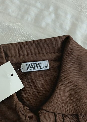 Zara Kahverengi Pilili V Yaka Erkek Polo Tişört - Görsel 2