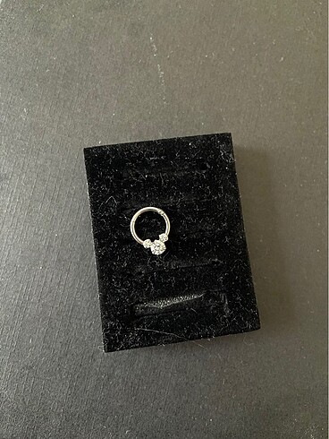 taşlı septum - Görsel 2