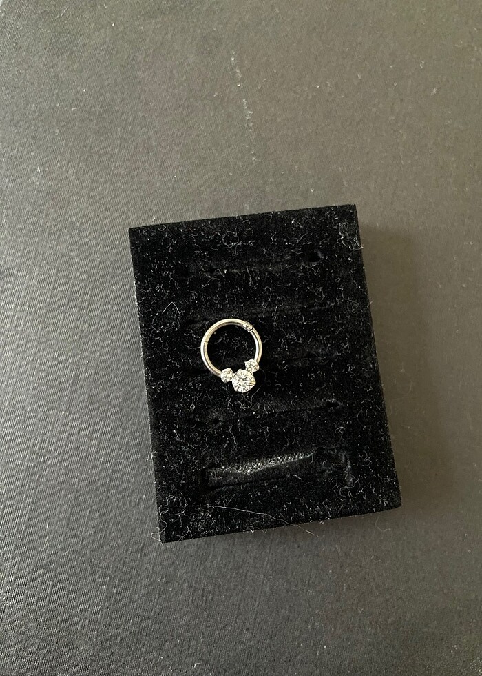 taşlı septum - Görsel 2