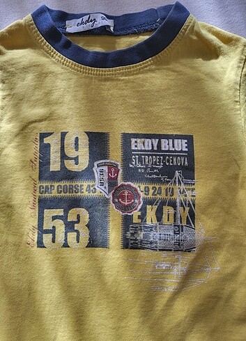 Diğer Erkek çocuk tshirt
