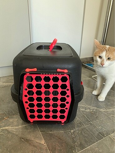 Kedi Taşıma Çantası