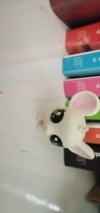 Beyaz fare miniş
