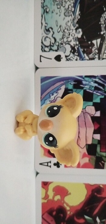 Koala miniş