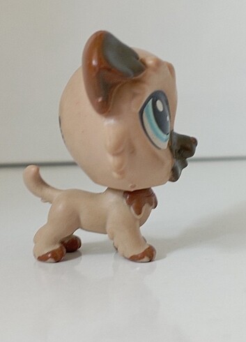 Büyük boy köpek minis