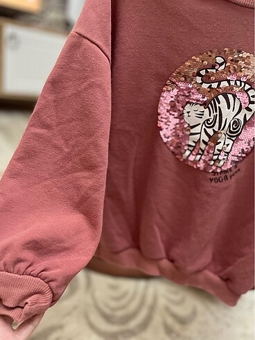 LC Waikiki Çocuk sweat
