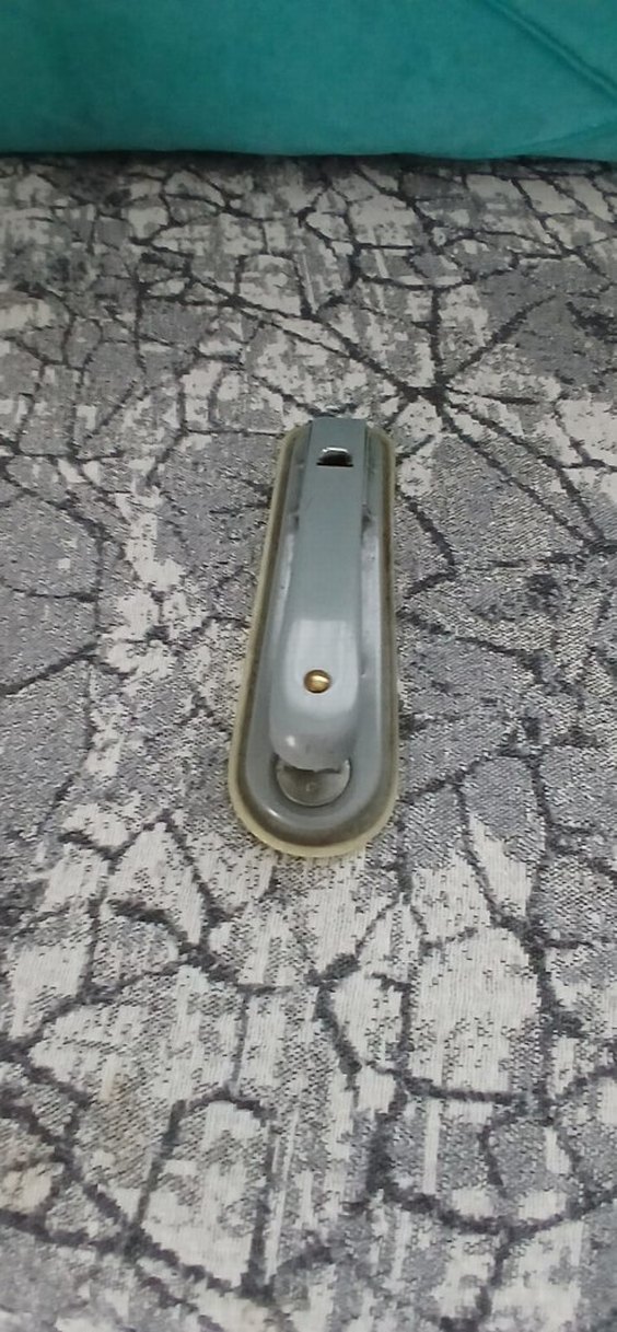 Gri zimba - Görsel 2