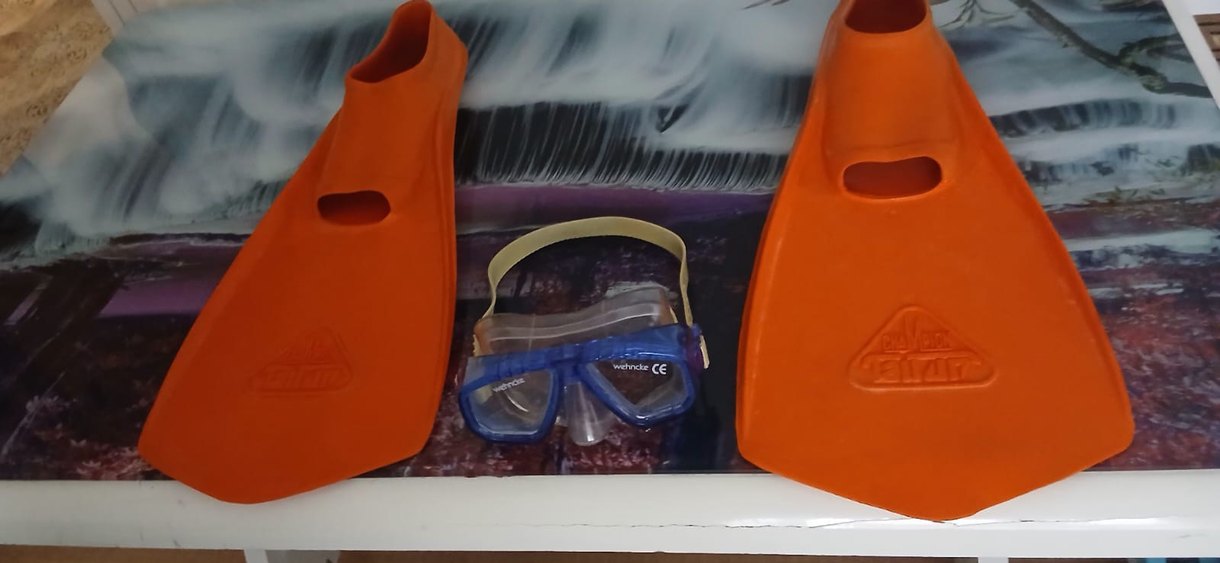 Ayak paleti ve deniz gözlüğü - Görsel 3