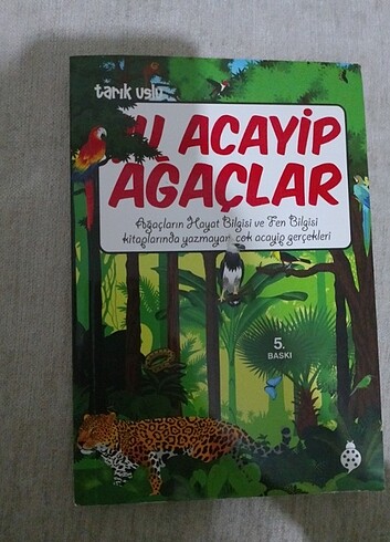 Kitap