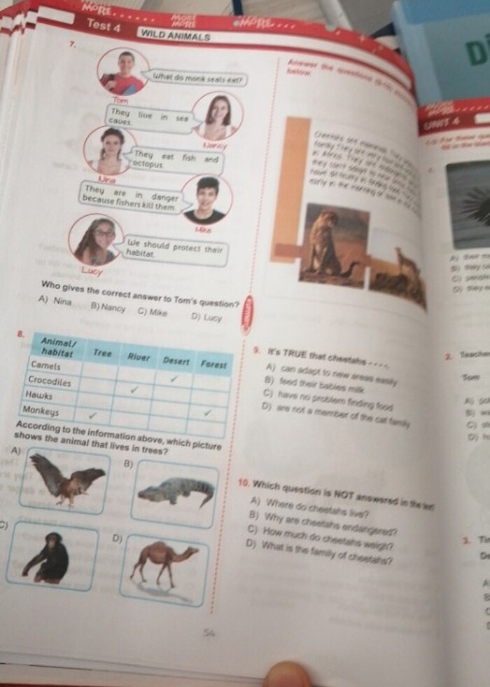 İngilizce 7.sınıf - Görsel 3