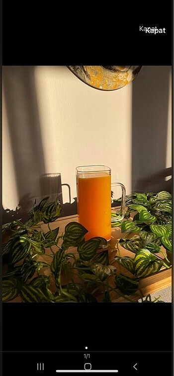 Borosilşkat bardak