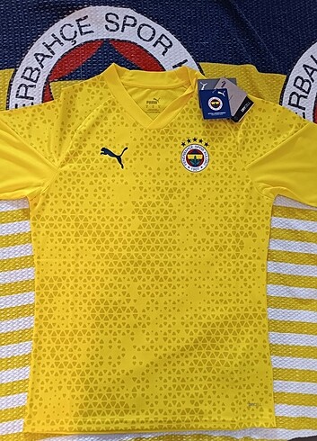 Fenerbahçe Puma 2024 Antrenman Forma
