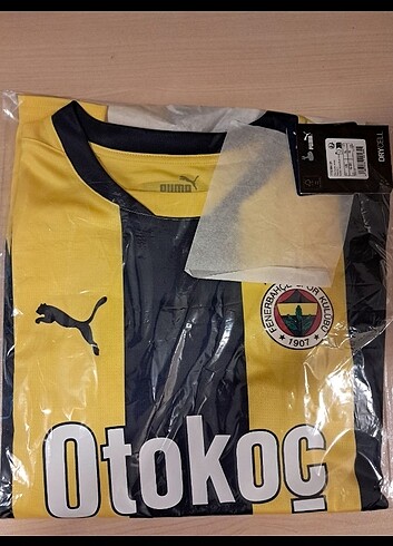 Puma Fenerbahçe Puma 24/25 Çubuklu Forma