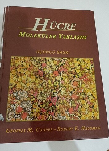 Hücre Moleküler Yaklaşım Kitabı 