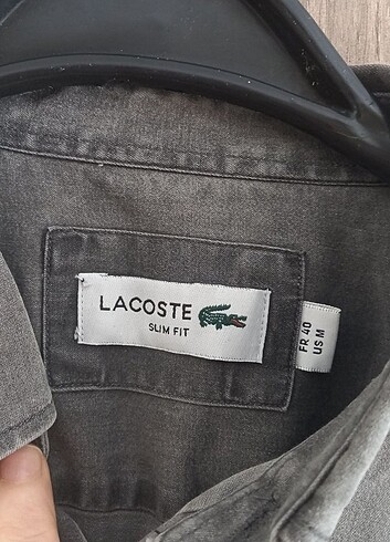 m Beden Lacoste marka gömlek mbeden