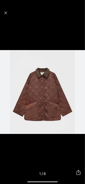 Pull and bear