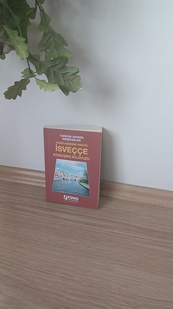 Isveççe Konuşma Klavuzu 