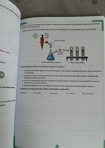 10. Sınıf Tekrar Testleri - Görsel 5