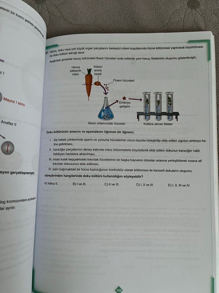 10. Sınıf Tekrar Testleri - Görsel 5