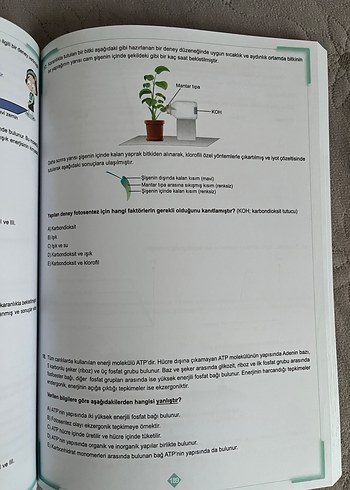 12. Sınıf Tekrar Testleri 1. Seri - Görsel 4