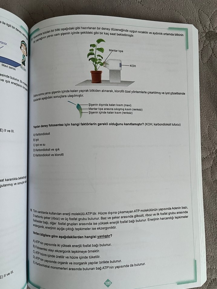 12. Sınıf Tekrar Testleri 1. Seri - Görsel 4