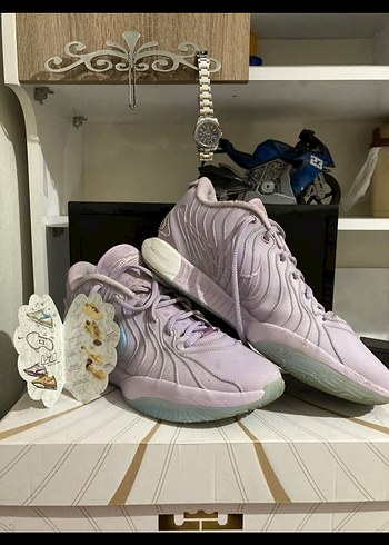 lebron21