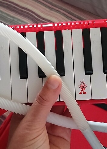 Diğer Lono melodika
