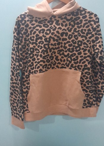 polar Sweatshirt