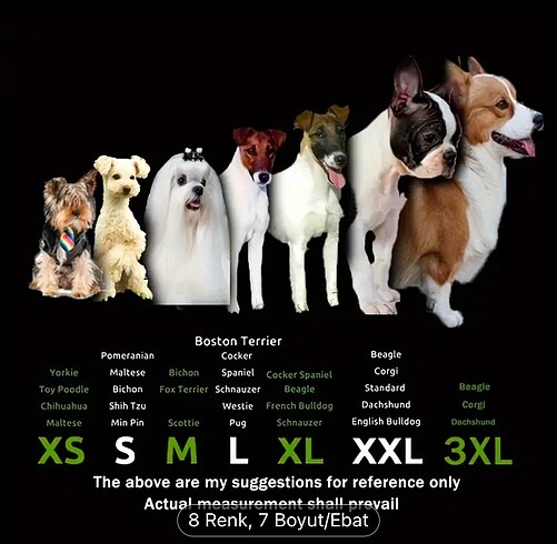 Beden Renk Köpek botu