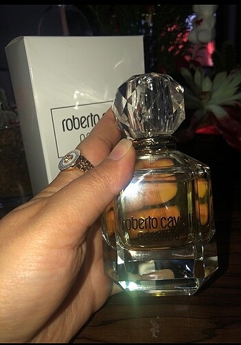 Roberto Cavalli Paradiso