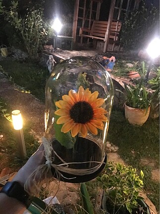  Ayçiçeği