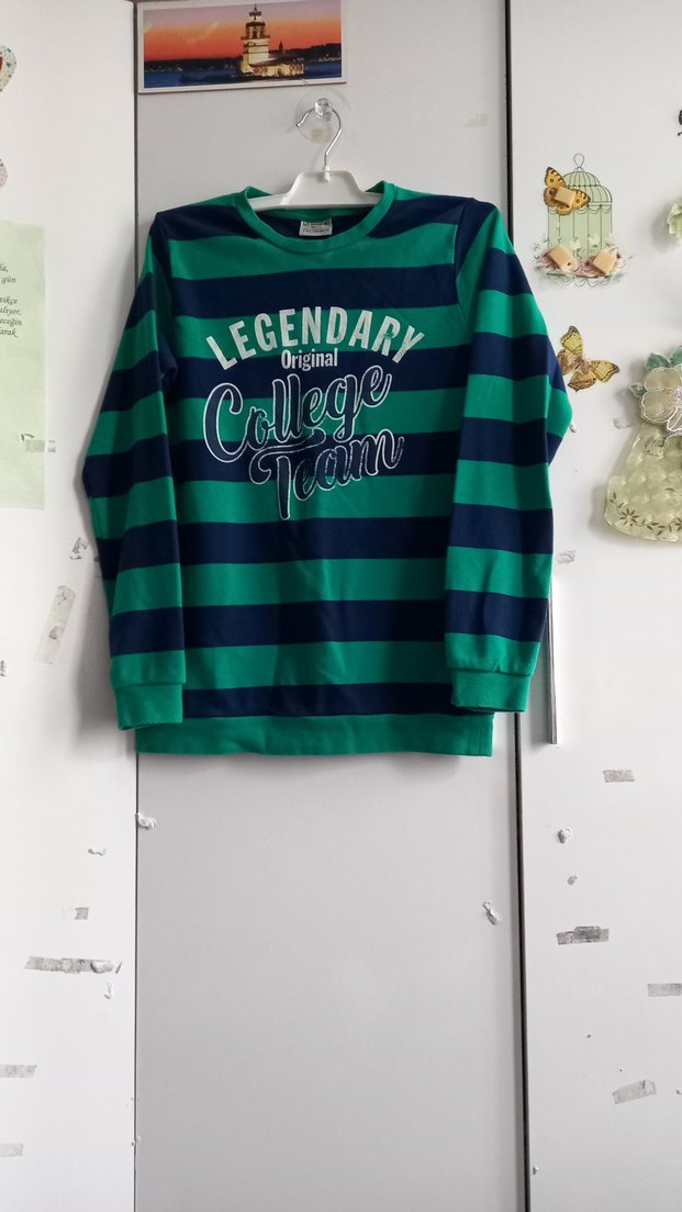 LcWaikiki Çizgili Erkek Çocuk Sweatshirt - Görsel 4